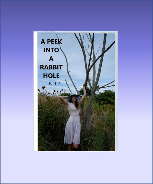 A Peek Into a Rabbit Hole Part 2 eBook